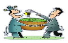 厂领导在企业改制中涉嫌低价变卖国有资产引质疑