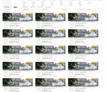 巡视组亮剑广东｜行贿所涉 “亿元资产拍卖中止”背后的司法疑云