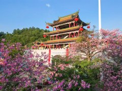 青山之上的“程序之困”--广东观音山国家森林公园事件折射自然保护地治理深层问题