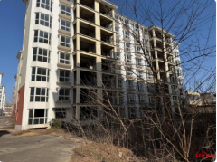 企业2600万元竞得法拍土地使用权和在建房产，被查封五年无法“过户”｜红星调查