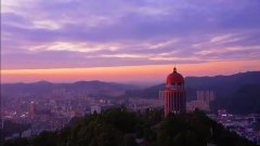 绿肺之殇:观音山毁林背后的多方博弈与治理困局