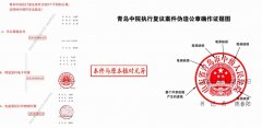 落马高官女婿的空壳公司,如何“合法”夺走一家民企?